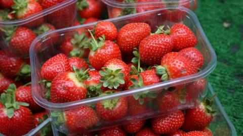 Strawberries in a punnet