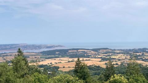 A picture of Starcross in Devon. In the foreground around green trees. There are brown fields in the middle ground and in the background is the sea. The sky is grey. 
