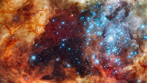 R136 in the 30 Doradus Nebula, from NASA's Hubble space telescope