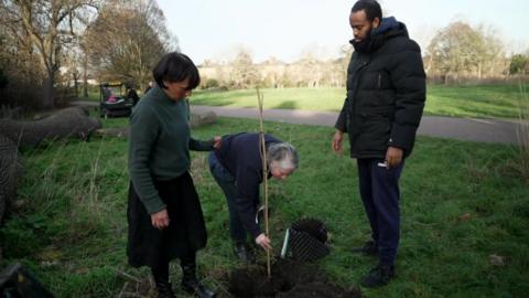 Wide shot of three people planting a sapling in a grassy park, with one person placing the sapling into the ground while the others stand nearby watching.