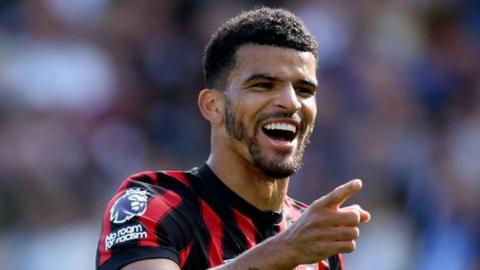 Bournemouth striker Dominic Solanke