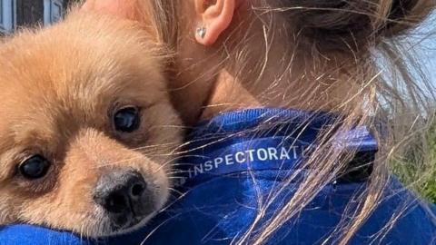 A woman holding a dog that is peering over her shoulder 