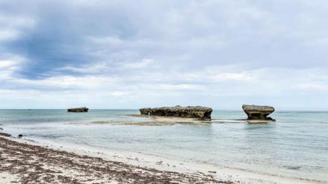 The Madagascan coastline