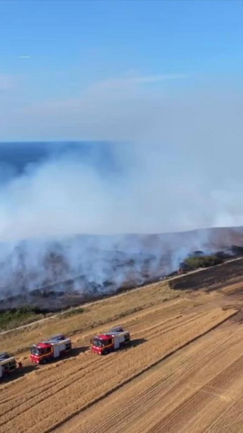 A field with fire engines in. There is smoke in the background.