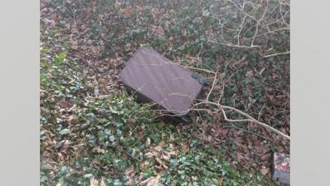 The brown suitcase lying in a ditch. The ditch is covered in brown leaves and ivy.