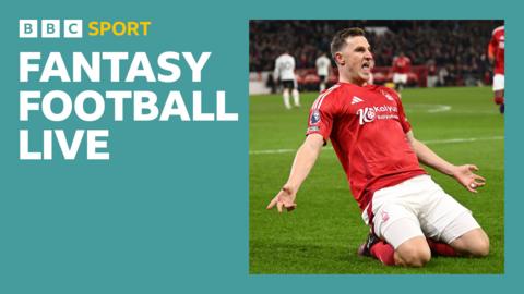 Should Chris Wood be in your FPL team?