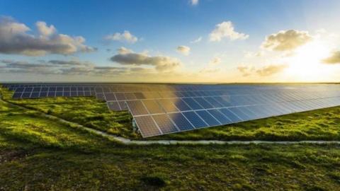 Image of a solar farm complete with panels in a field 