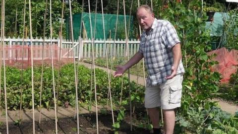 Gardeners believe a saboteur is holding a grudge against the allotments after a spate of vandalism.