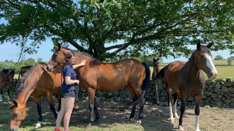 A woman with long brown hair is wearing a blue t-shirt and black shorts. She is standing next to three brown horses sheltering under the shade of a tree.