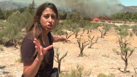 Azadeh Moshiri in front of a wildfire