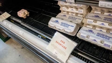 Eggs are seen in a grocery store with a sign saying "egg shortage"