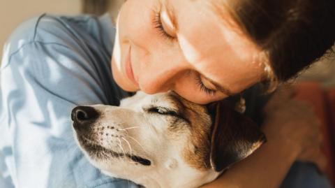 A young woman wearing a blue stop cuddling her Jack Russell Terrier.