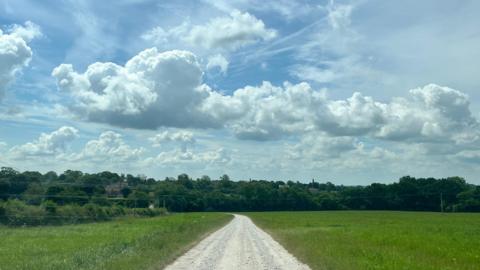 Field with path into distance and fluffy clouds above