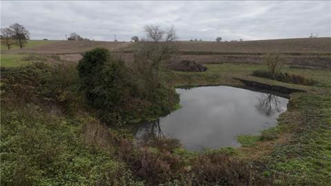 A restored pond filled with water with a small dam to reduce flood risk