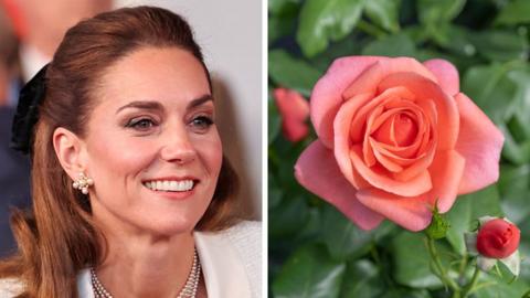 Kate and rose