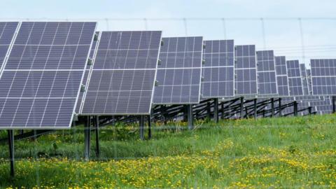 A line of solar panels up close.