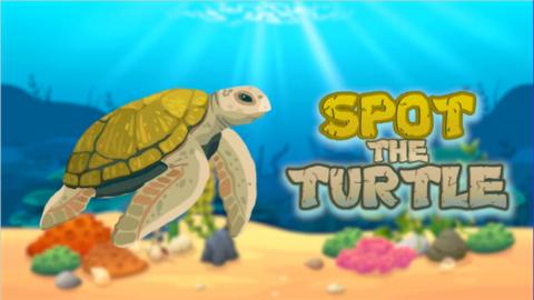 A cartoon image of a turtle in deep see next to the title 'spot the turtle' in a turtle font