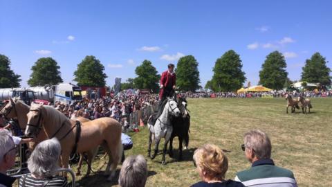 People watch pony and cart display at south suffolk show