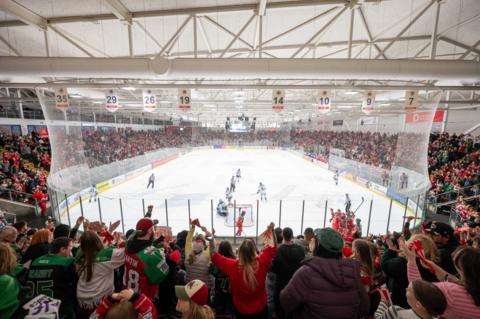 Devils fans watch ice hockey at Vindico Arena, Cardiff