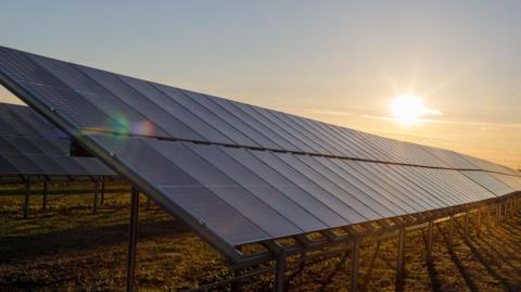 Large solar panels are seen with the first row seen stretching off in to the distance and a second row behind. They stand on a grassy field and the sun is setting behind them