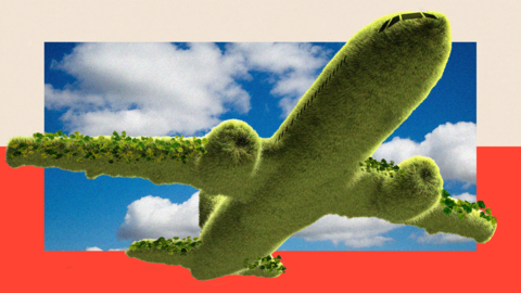 A treated image of an aeroplane in a sky filled with clouds. The aircraft's underbelly is visible and the entire plane is covered in green moss. Green vines wrap around the wings and curl around the engines as well.