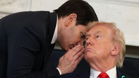 Rubio and Trump speaking