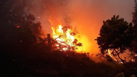 Gorse fire in Castlewellan
