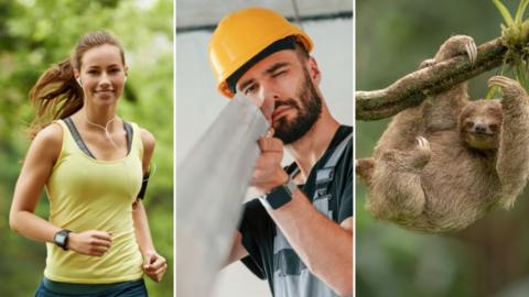 Montage image: woman running with wired earphones with yellow vest top; Construction worker in yellow hat and overalls looking along a metal pole towards the camera; a Sloth in a tree