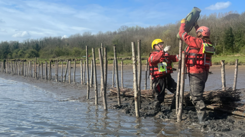 Two people in red overalls - with very big wellies - are creating a barrier between the water of the river and the shoreline. They are placing thick sticks vertically in the water and will fill in the gaps between them with bundles of sticks. The aim is to allow mud to build up along the shoreline, without it being washed away by the current and waves.
