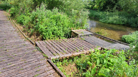 Wooden beams forming a path by a river surrounded by green foliage
