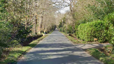 A Google Street image of a country lane.