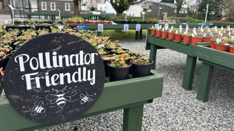 Green tables with edges holding plants. In the foreground is a round blackboard sign with Pollinator Friendly written and threes bees drawn on it. Further tables with plants can be seen in the background.