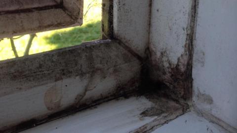 A stock image of a mouldy windowsill.