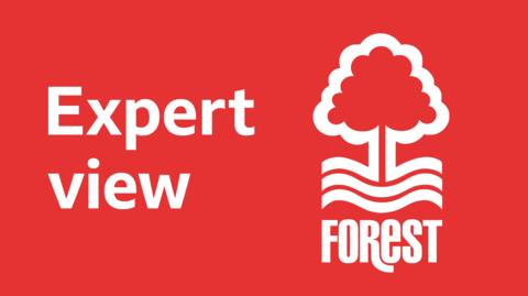 Expert view banner