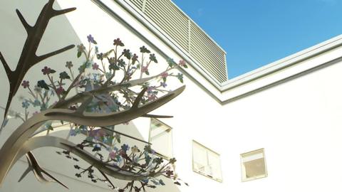 Tree of Life sculpture in the grounds of the Lancashire Women and Newborn Centre at Burnley General Hospital.