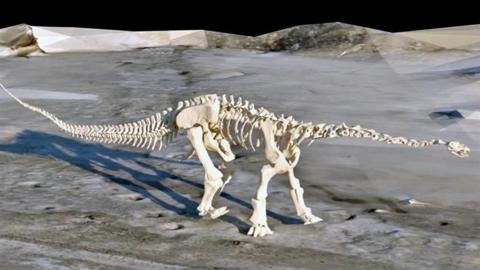 Dinosaur skeleton