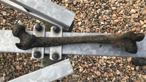 The blackened human bone, lying on a metal frame used to transport boats, above shingle