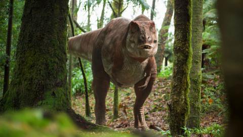 A T-rex.