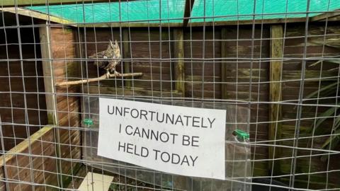 A sign bearing the words: "unfortunately I cannot be held today", attached to a wire fence grille on a bird enclosure. In the backdrop is an owl standing on a perch. There is brown wooden shiplap panels to the left and rear of the image, and a green mesh on the roof of the enclosure.