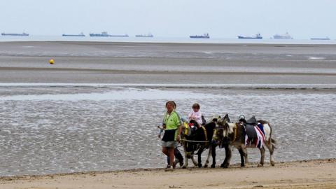 Donkey rides in Cleethorpes