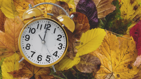 Close-up of a clock sitting on a bed of autumn leaves