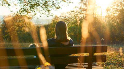 A person and a dog sat on a bench.