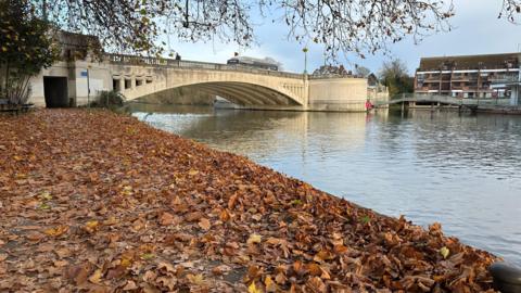 In the back of the shot stands a large white bridge that spans the width of a slow-moving river. Alongside the river, on the left-hand side of the picture - there is a pathway completely covered in leaves that have turned brown and yellow. On the opposite bank, there are three houses and another smaller bridge.