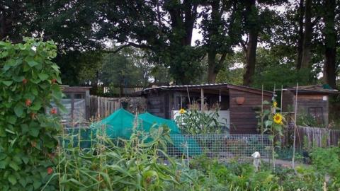 Nuns Moor allotments