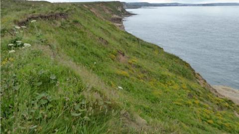 The coast at North Cliff, Filey