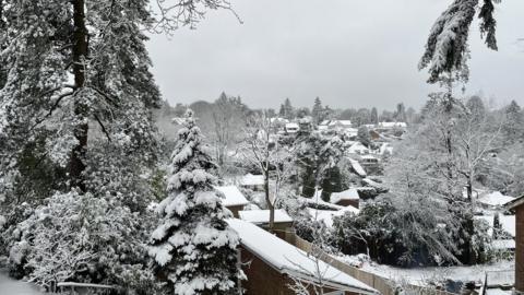 Thick snow in the Surrey village of Hindhead