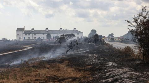 View of a scorched patch of grass outside Coastguard Cottages (white two-storey building in the background) in Dunwich Heath