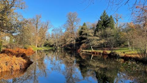 Several trees stand round a clear and still body of water. The leaves on the trees range from orange in colour to brown and some are still green. The trees are reflected in the stillness of the water. There is also a bright blue sky.