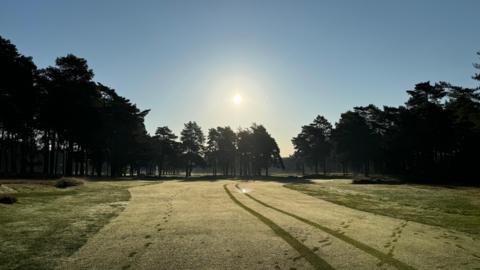 A frosty lawn with footprints on and in front of a row of trees under a bright blue sky and low sun 