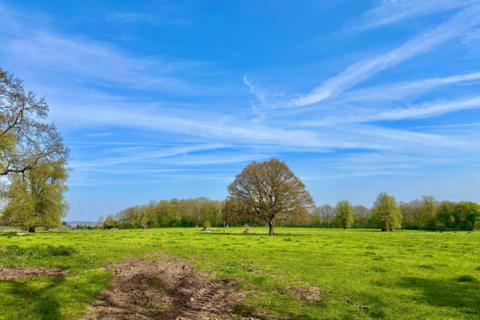 Green field with scattered trees under a bright blue sky in Swynnerton, Staffordshire